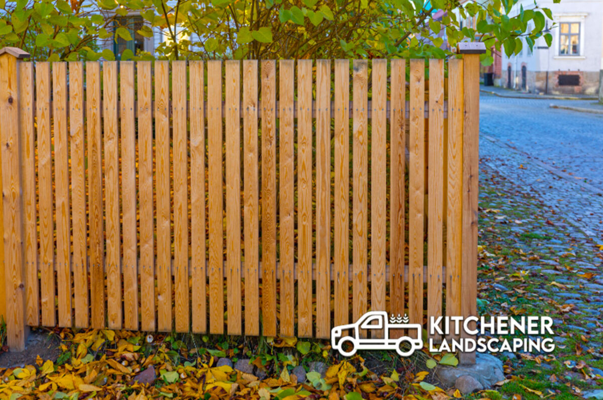 Chain Link Fence Kitchener Succulent Kitchener Landscaping