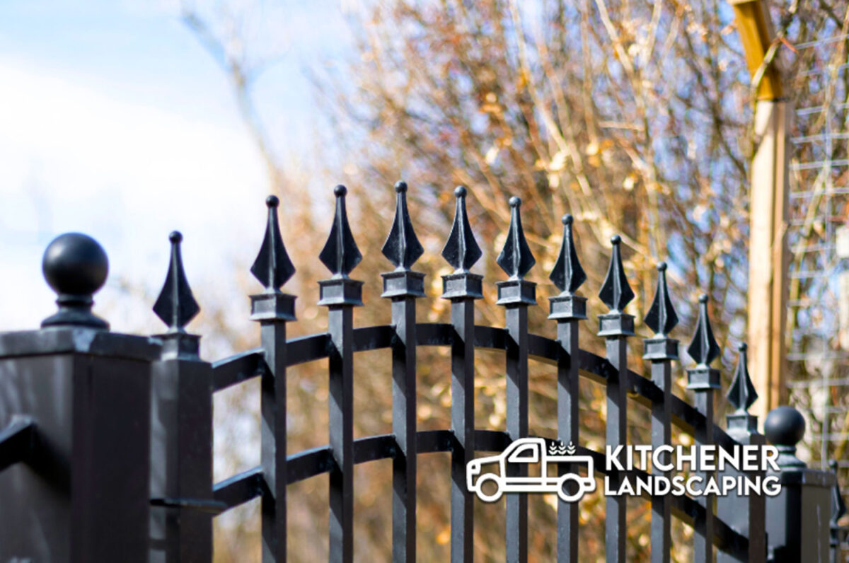 Chain Link Fence Kitchener Succulent Kitchener Landscaping