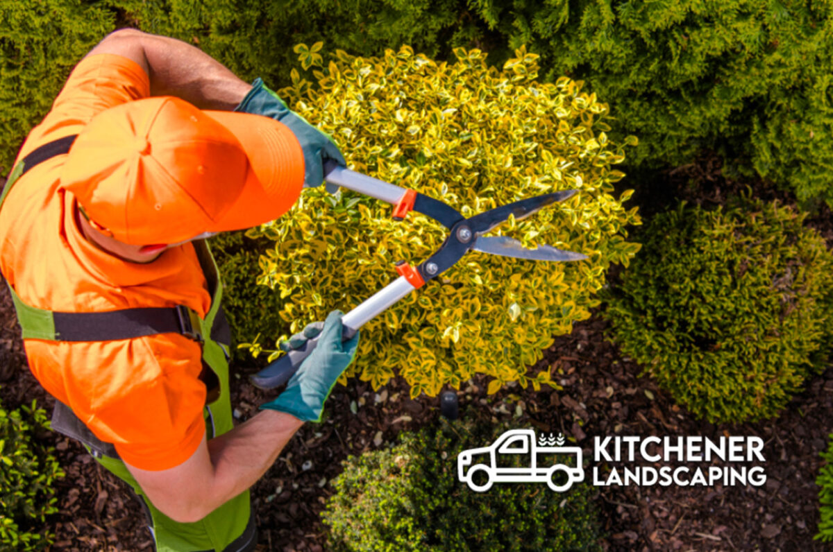 Kitchener Landscaping Companies Kitchener Landscaping