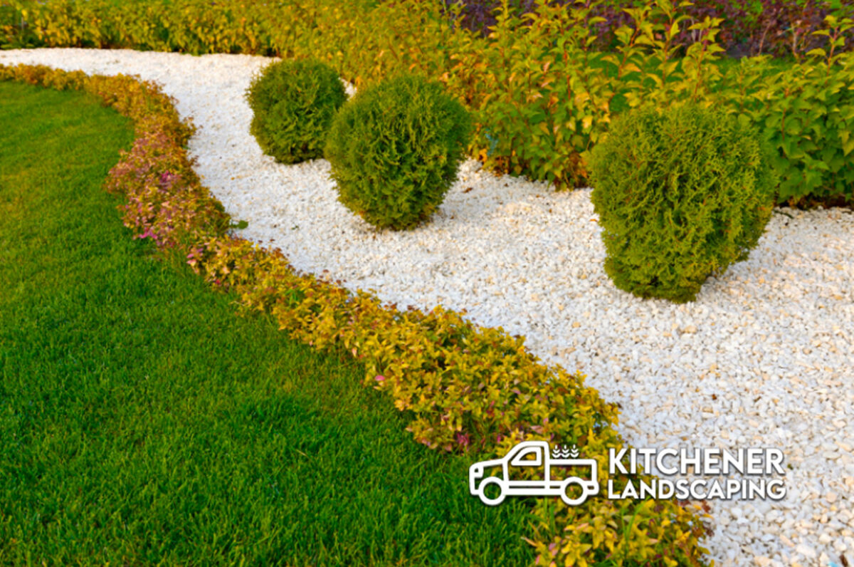 Kitchener Waterloo Landscaping Succulent Kitchener Landscaping
