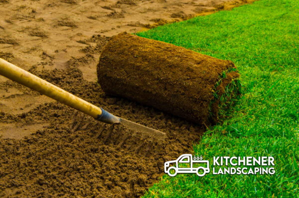 Lawn Maintenance Kitchener Succulent Kitchener Landscaping